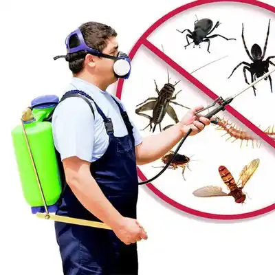 pest control Framingham